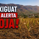 alerta roja en texiguat imagen