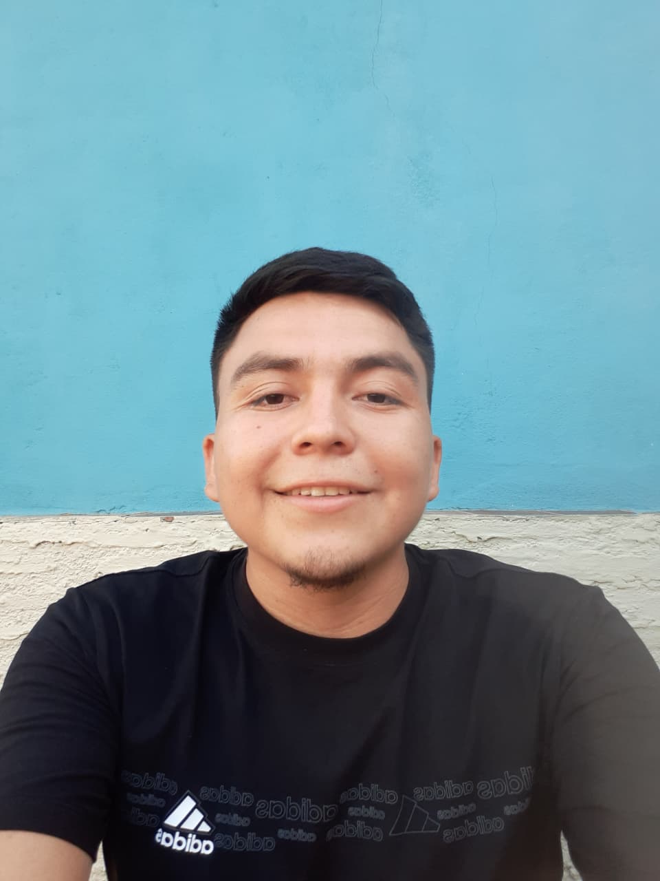 Rodiney Alejandro Briceño Jimenez